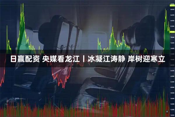 日赢配资 央媒看龙江丨冰凝江涛静 岸树迎寒立
