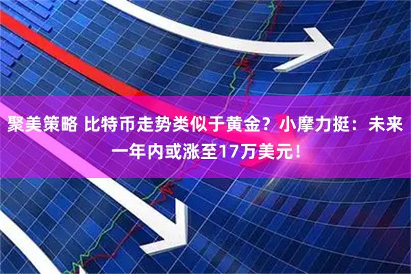聚美策略 比特币走势类似于黄金？小摩力挺：未来一年内或涨至17万美元！